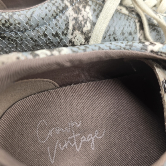 Crown Blue and‎ Cream Snakeskin Sneakers - Picture 6 of 7